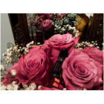 فردریک مال این رز